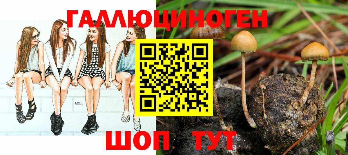 Галлюциногенные грибы GOLDEN TEACHER Волгоград