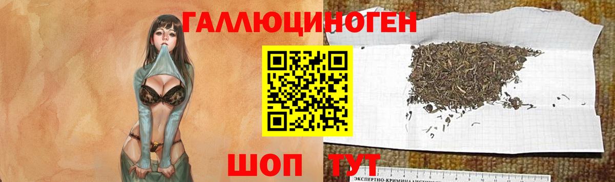 Псилоцибиновые грибы мухоморы  Вход с VPN  Волгоград  Псилоцибиновые грибы MAGIC MUSHROOMS 